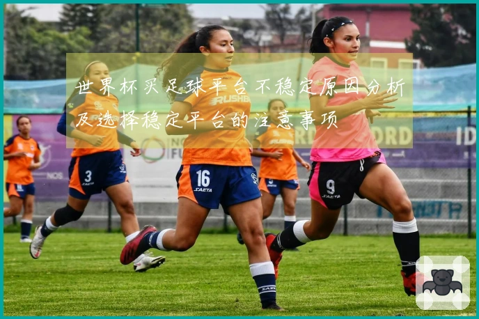 世界杯买足球平台不稳定原因分析及选择稳定平台的注意事项